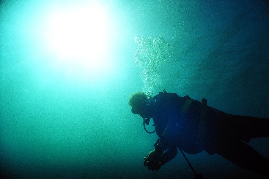 Diver Silhouette