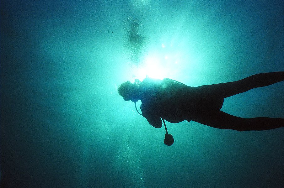 Diver Silhouette