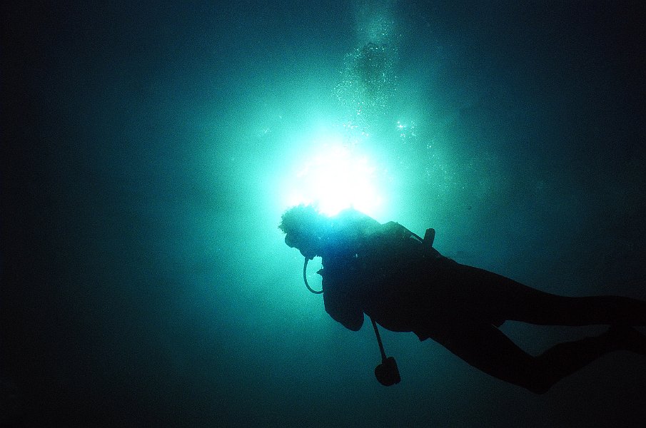 Diver Silhouette