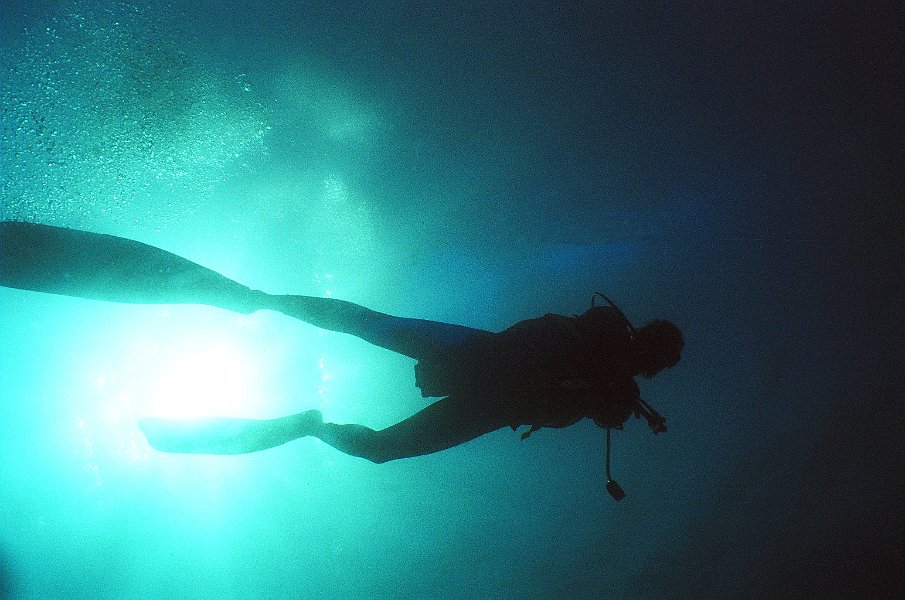 Diver Silhouette