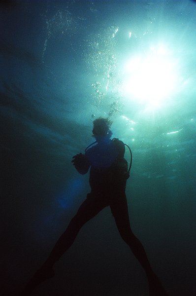 Diver Silhouette